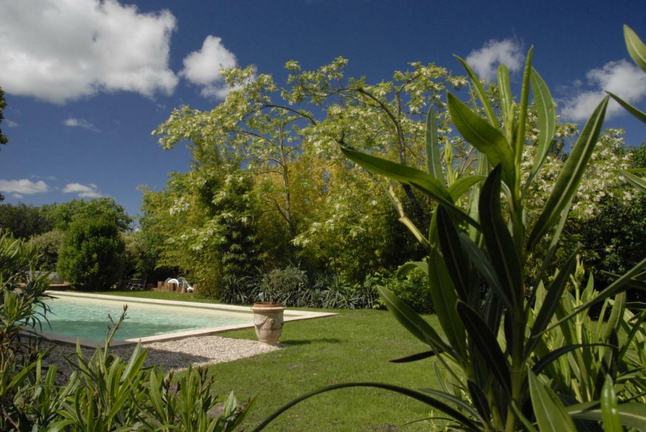 Le Coing Des Vignes Bed & Breakfast Mauressargues Екстериор снимка