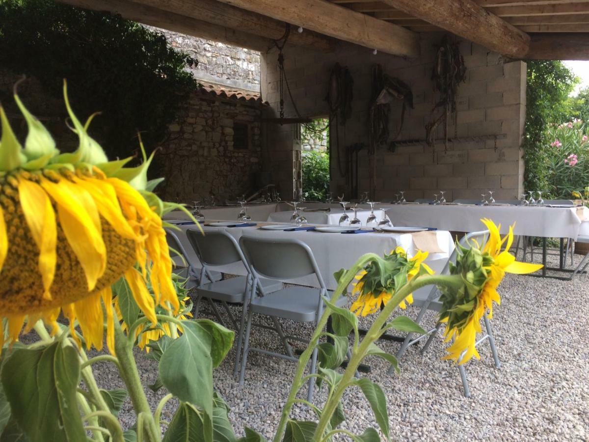 Le Coing Des Vignes Bed & Breakfast Mauressargues Екстериор снимка
